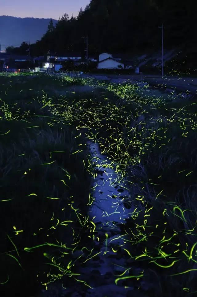 济南海鲜销售开启“春节模式” | 记者帮办·陪你过年