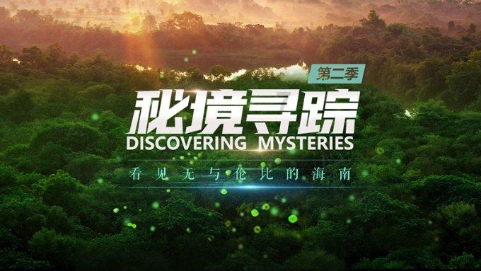 花的叶子发黄了是什么原因-最全面的有问必答平台