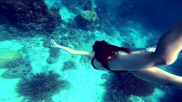 全民烧脑3去广告版