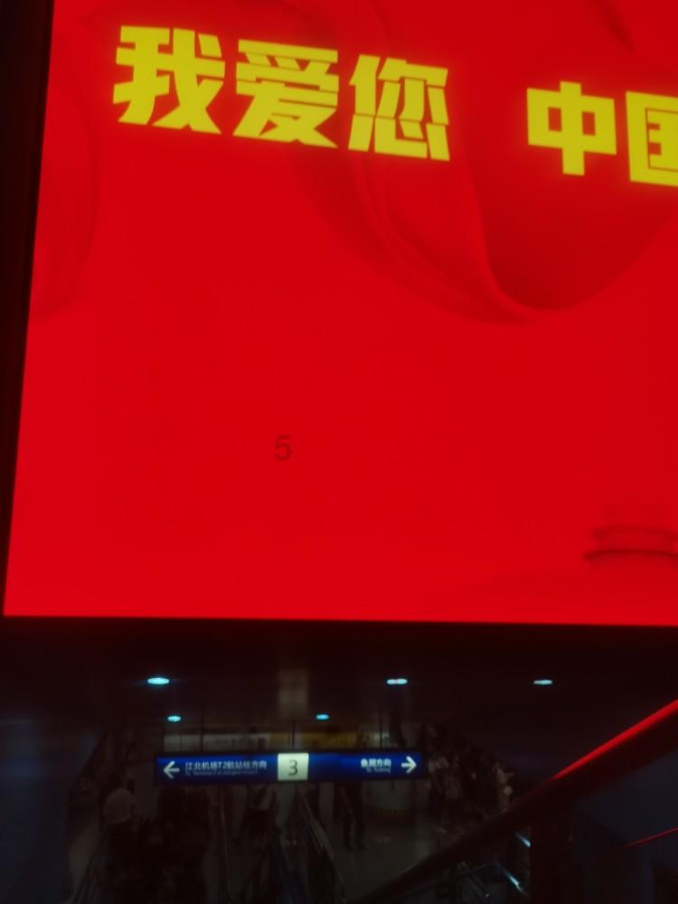 救援小老鼠