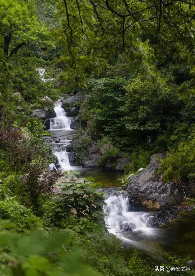 沙漠中寻宝