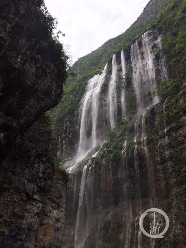 章鱼喷墨汁