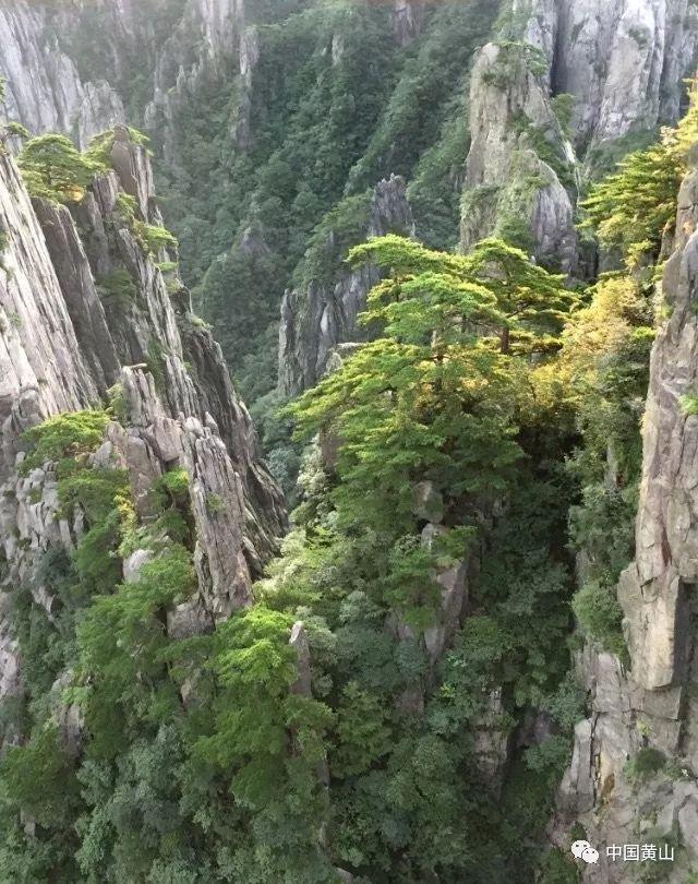 公主烹饪蛋糕