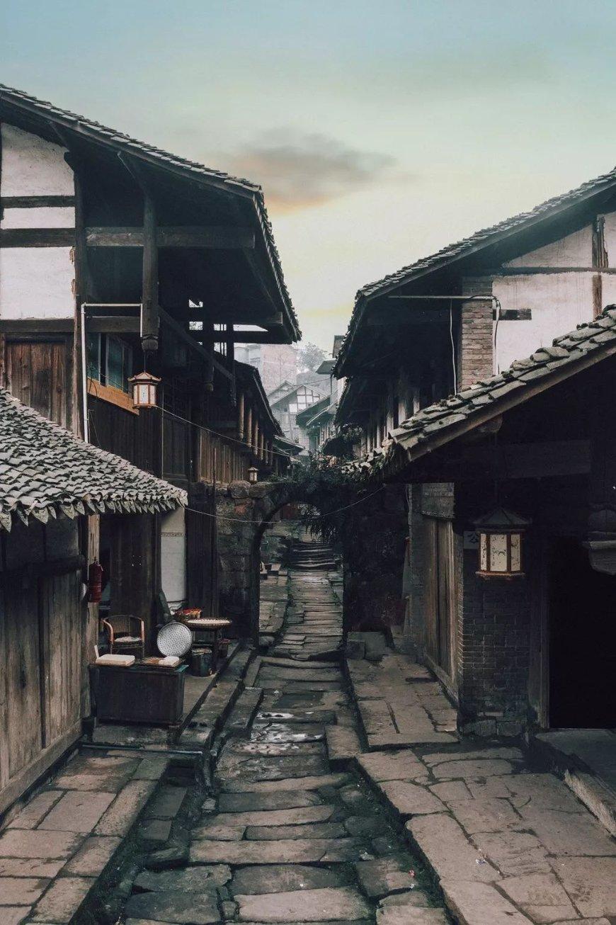 动物帮帮忙保卫家园