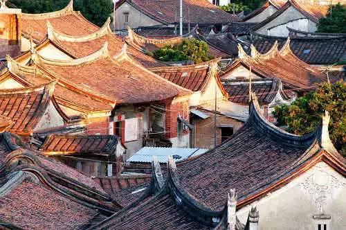 动物帮帮忙保卫家园